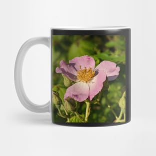 Pink Flower in Field 2 Mug